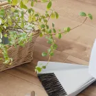 掃除